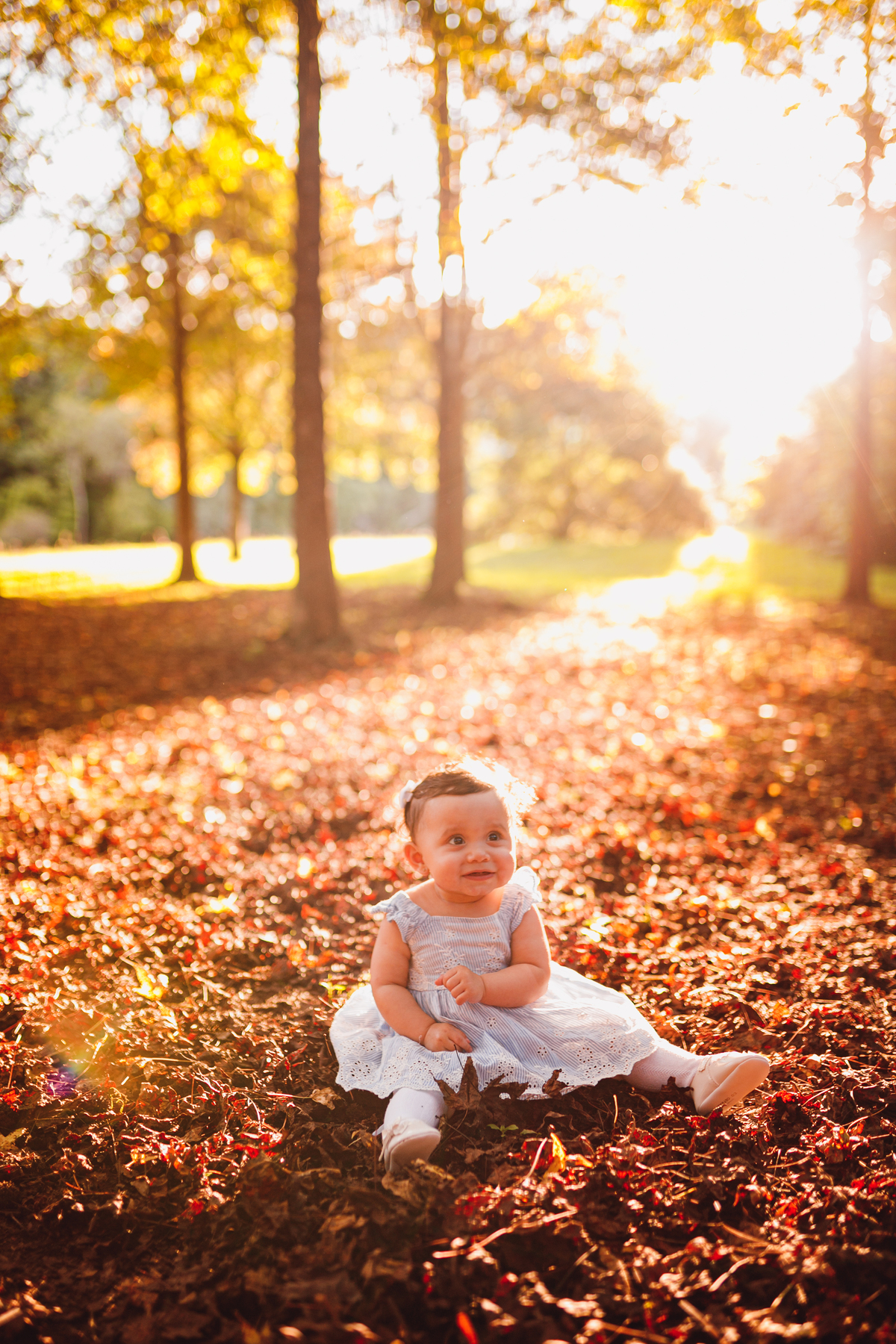 fotografa familia curitiba - ensaio outono parque tingui