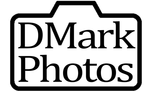 Logotipo de Renato Demarchi