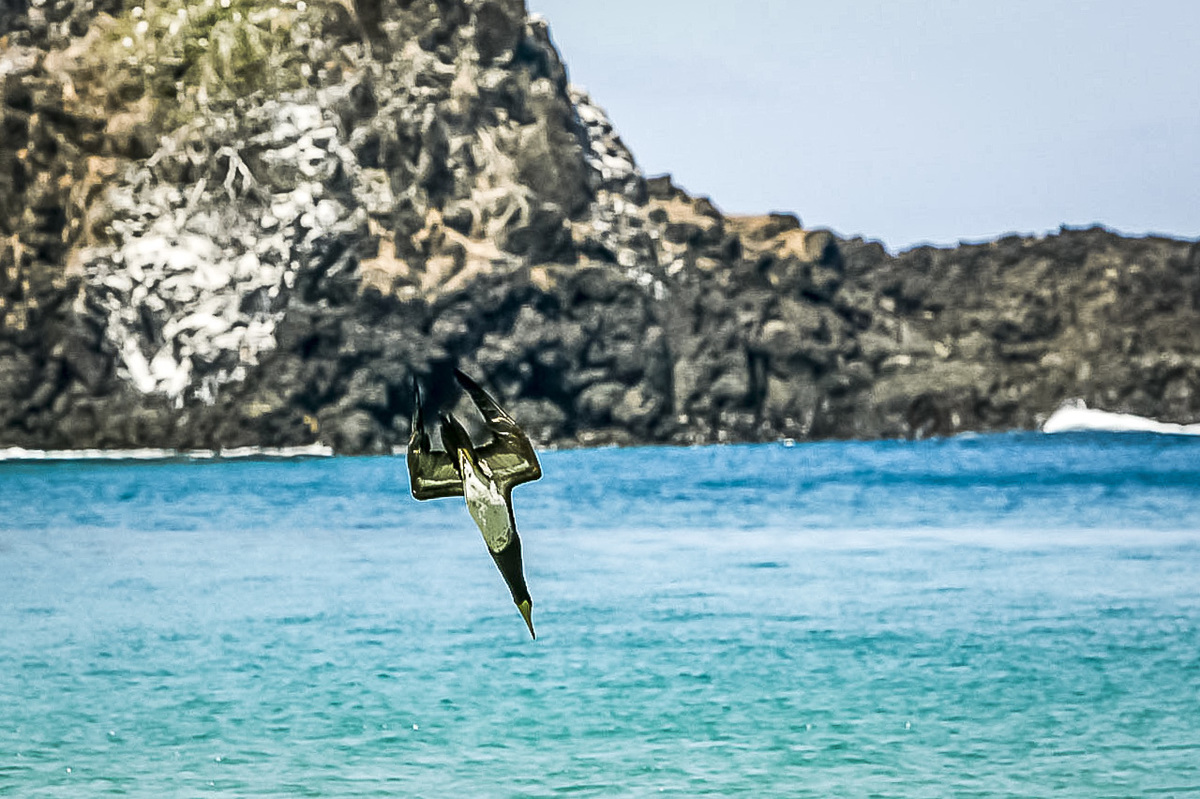 ensaio fotografico em Fernando de Noronha nada