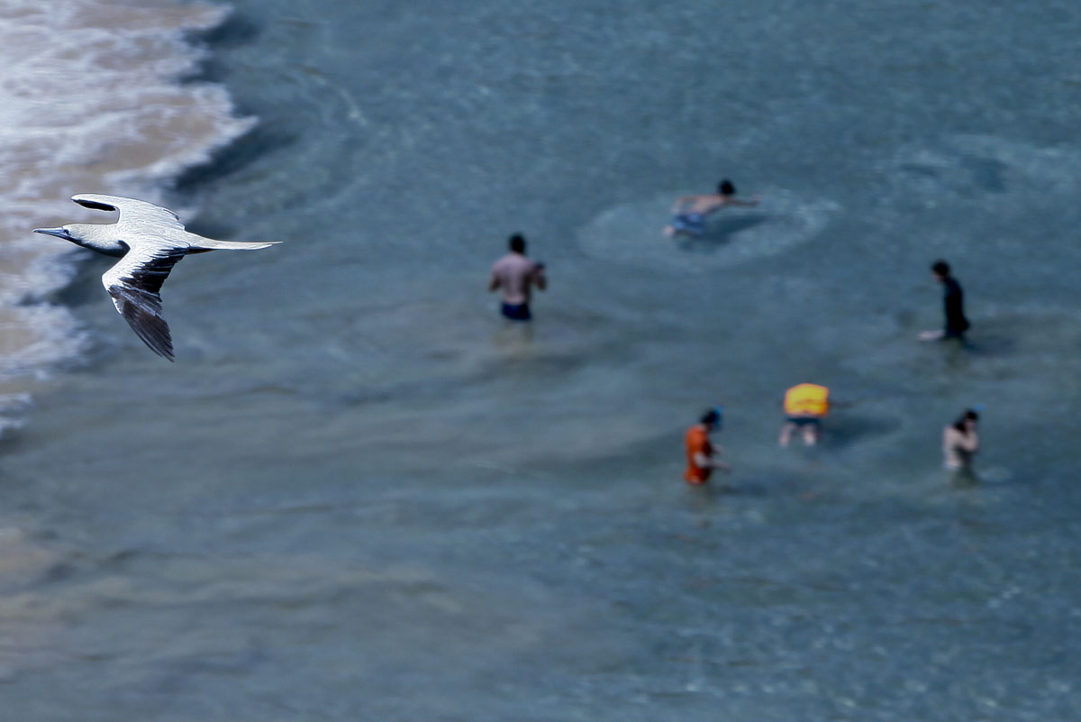 ensaio fotografico em Fernando de Noronha