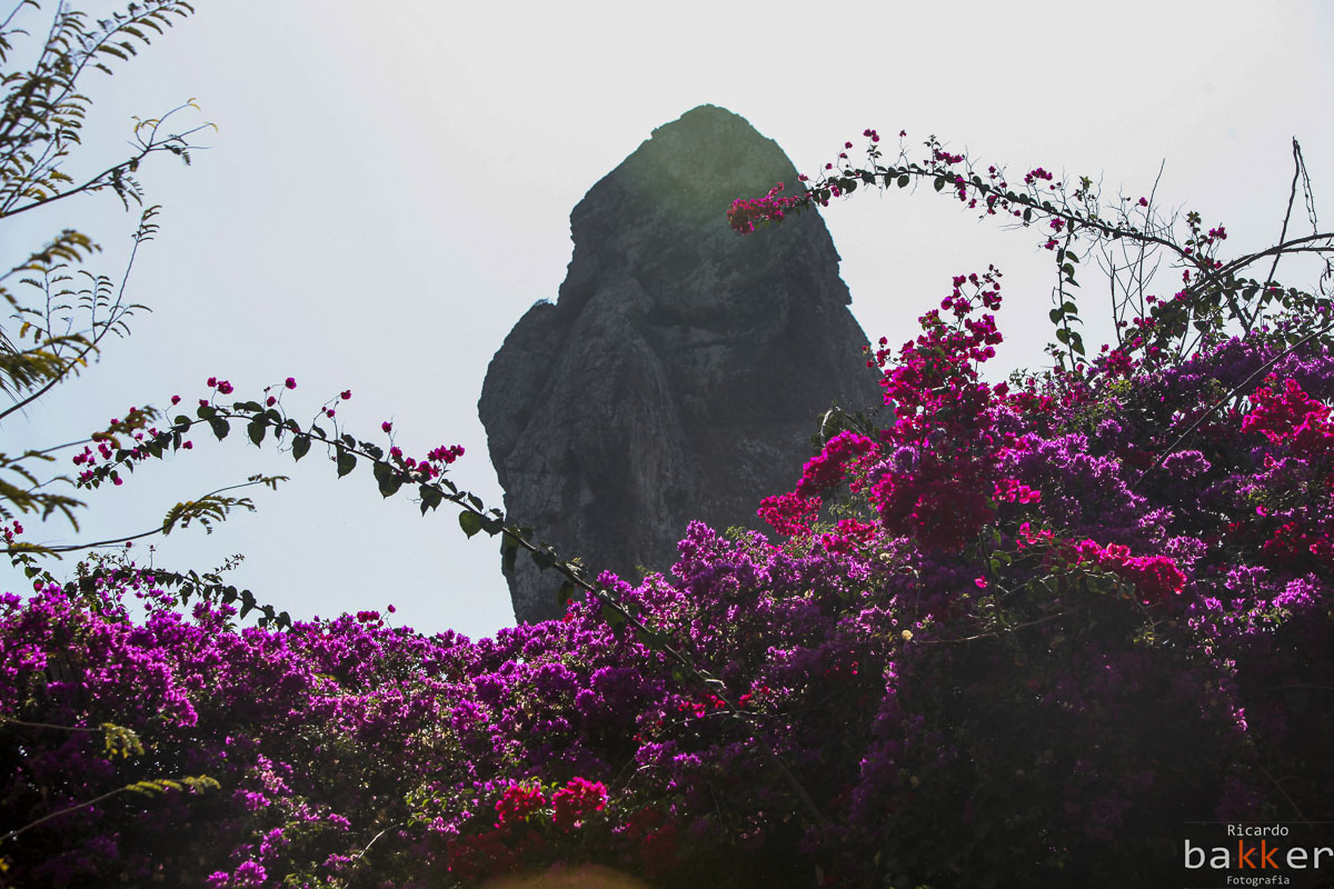 ensaio fotografico em Fernando de Noronha