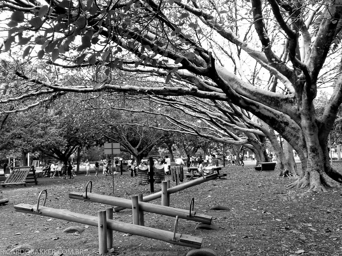 fotos-da-cidade-de-São-Paulo-Ricardo-Bakker