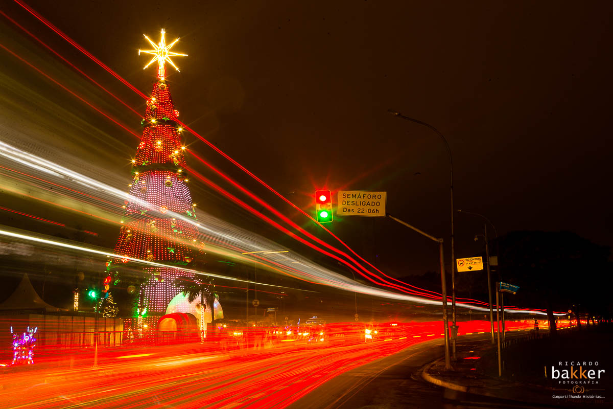 arvore de natal no parque do ibirapuera