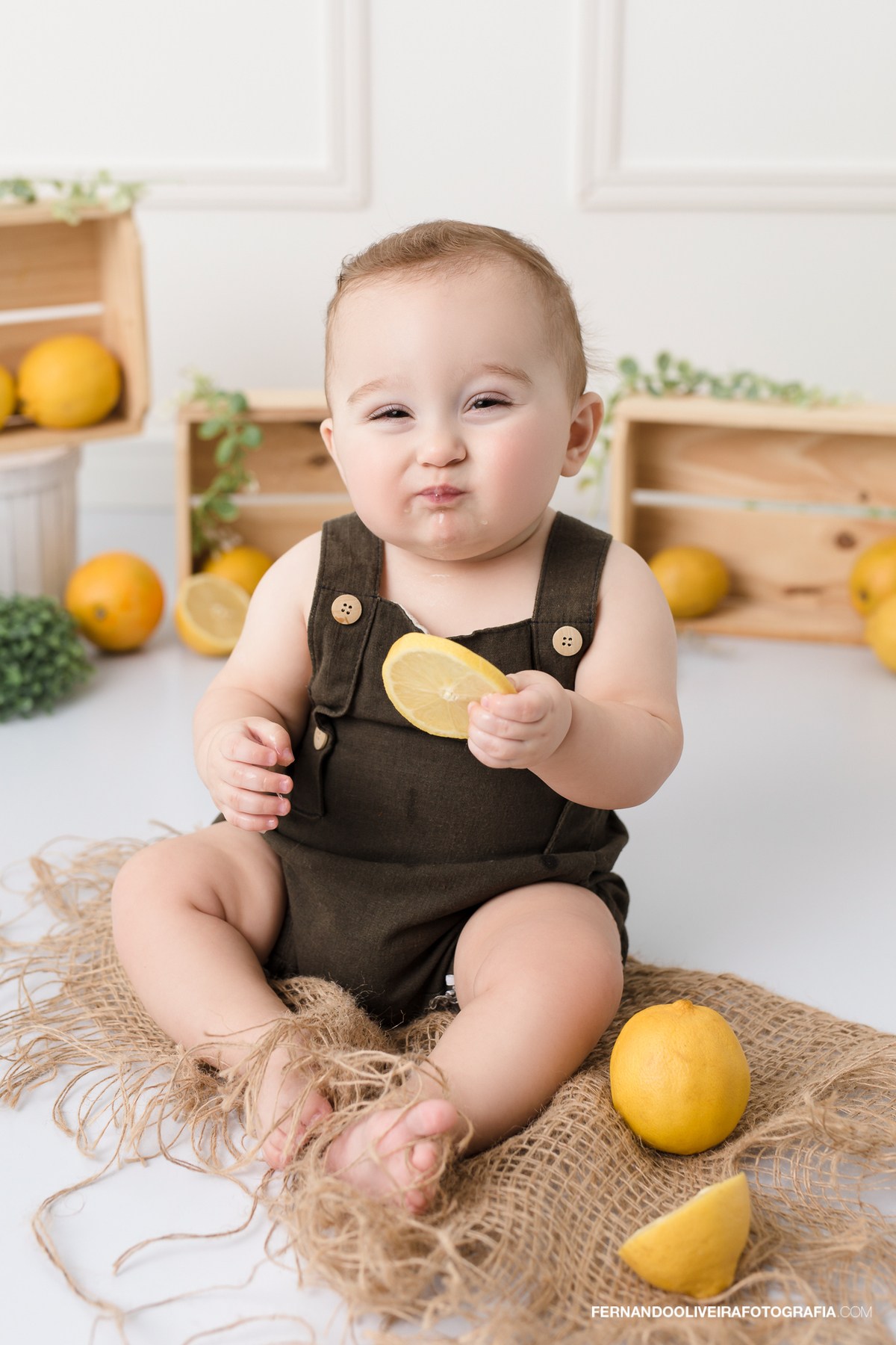 ensaio de acompanhamento bebe estudio newborn primeiro ano aniversario smash the cake