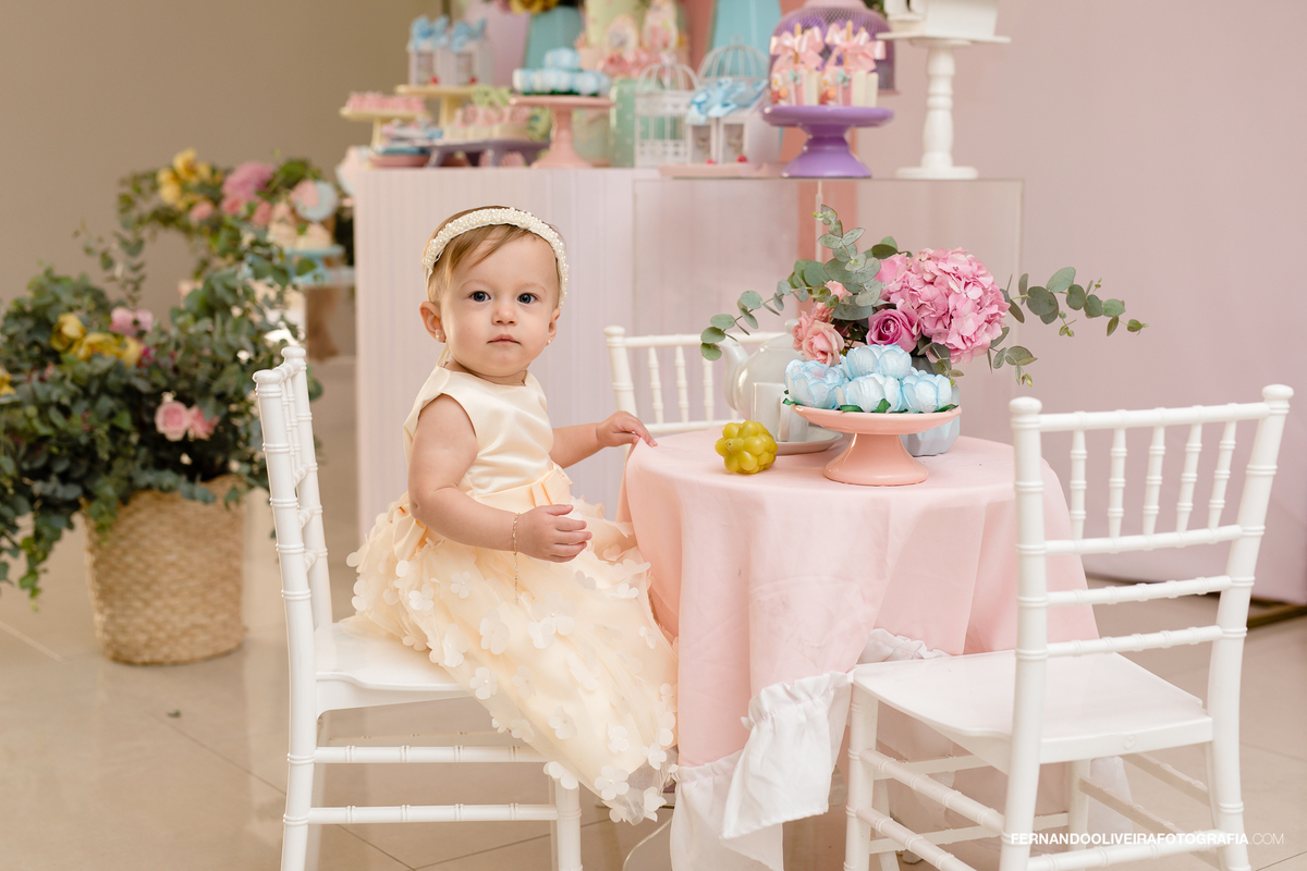 aniversario infantil criança buffet fotografo sp local de festa