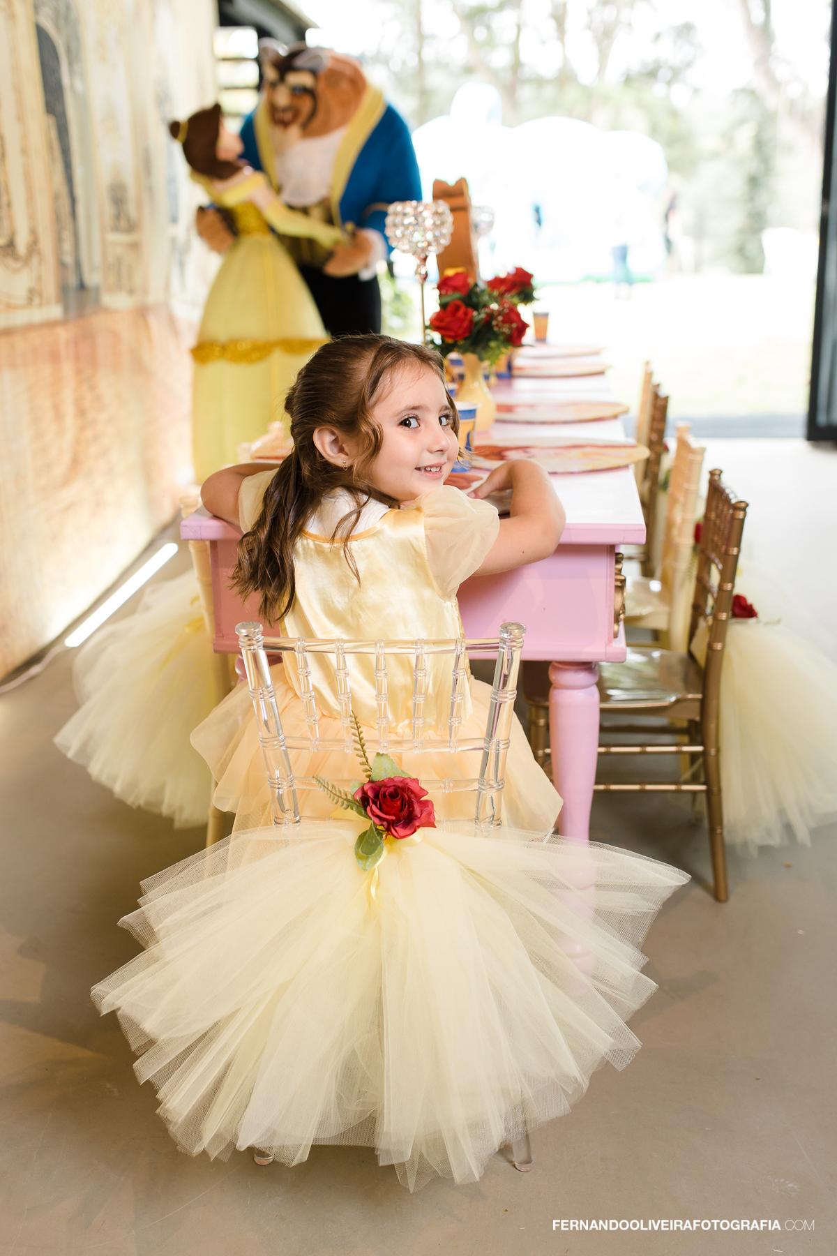 aniversario infantil criança buffet fotografo sp local de festa