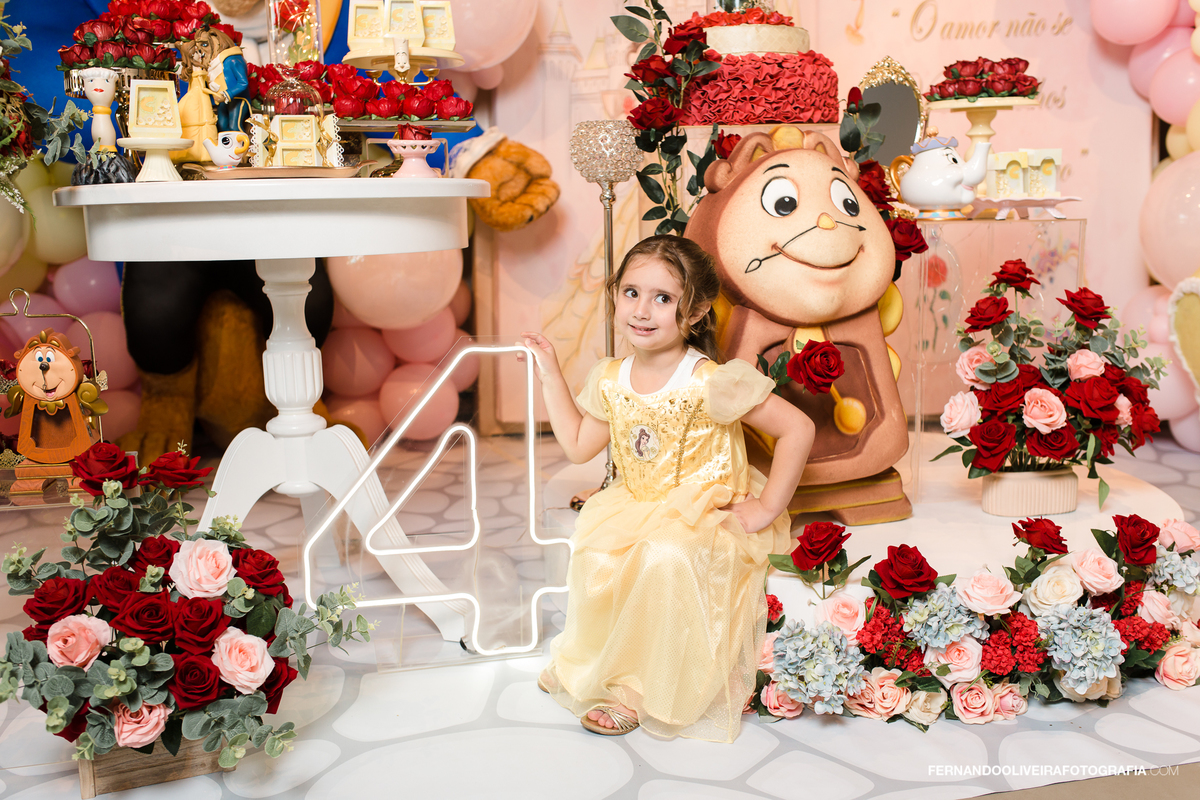 aniversario infantil criança buffet fotografo sp local de festa