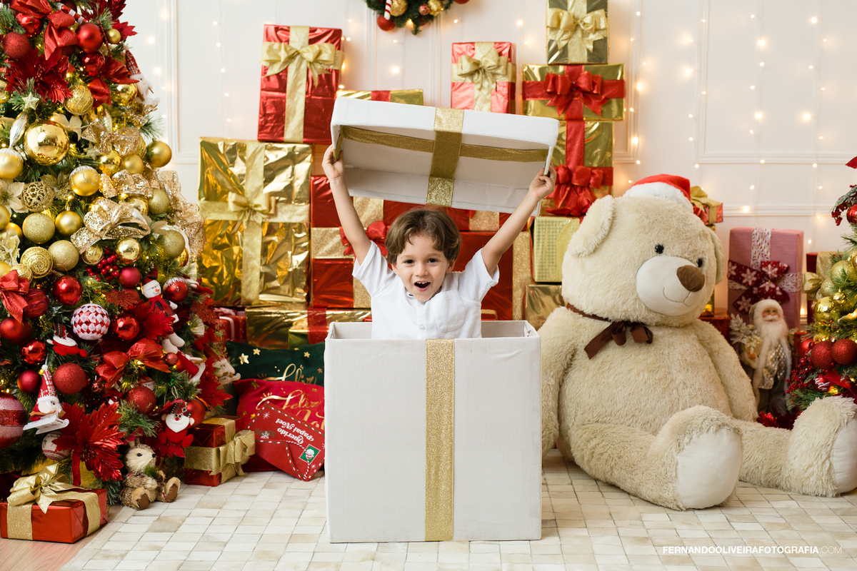 Natal sessao estudio brooklin moema são paulo zona sul fotografo fotografa mini decoração arvore de natal 
