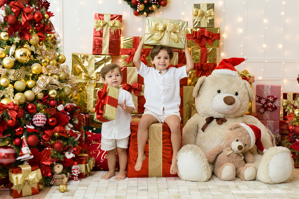 Natal sessao estudio brooklin moema são paulo zona sul fotografo fotografa mini decoração arvore de natal 