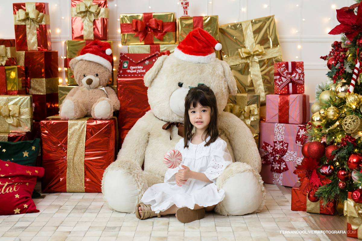 ensaio sessao de natal estudio decoraçao natalina fotografo fotografa fernando oliveira bruna rafaela brooklin moema campo belo zona sul