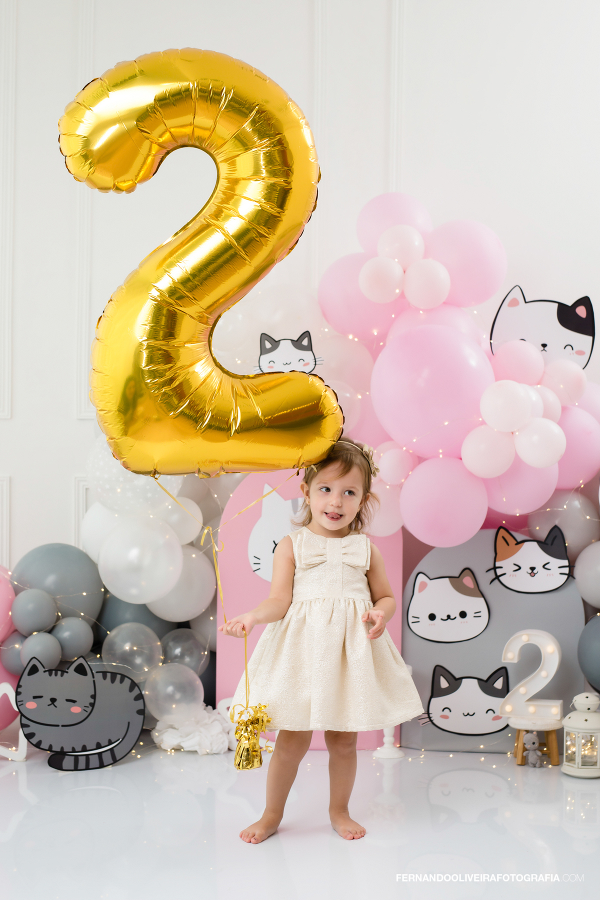 Ensaio 2 anos bebe acompanhamento bebe aniversario sessão fotografo fotografa estudio