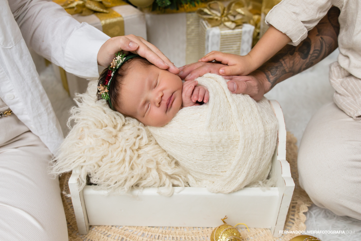 ensaio newborn natal decoração de natal estudio fotografico são paulo sp zona sul brooklin moema campo belo jardins itaim bibi fernando oliveira bruna rafaela