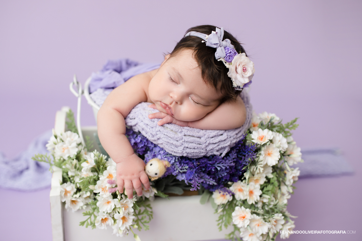 Ensaio newborn São Paulo
Fotografia newborn zona sul SP
Bebê recém-nascido fotos
Ensaio newborn estúdio São Paulo
Newborn Brooklin Moema Campo Belo
Fotos bebê Maria Julia newborn
Fotógrafo newborn zona sul
Ensaio recém-nascido SP