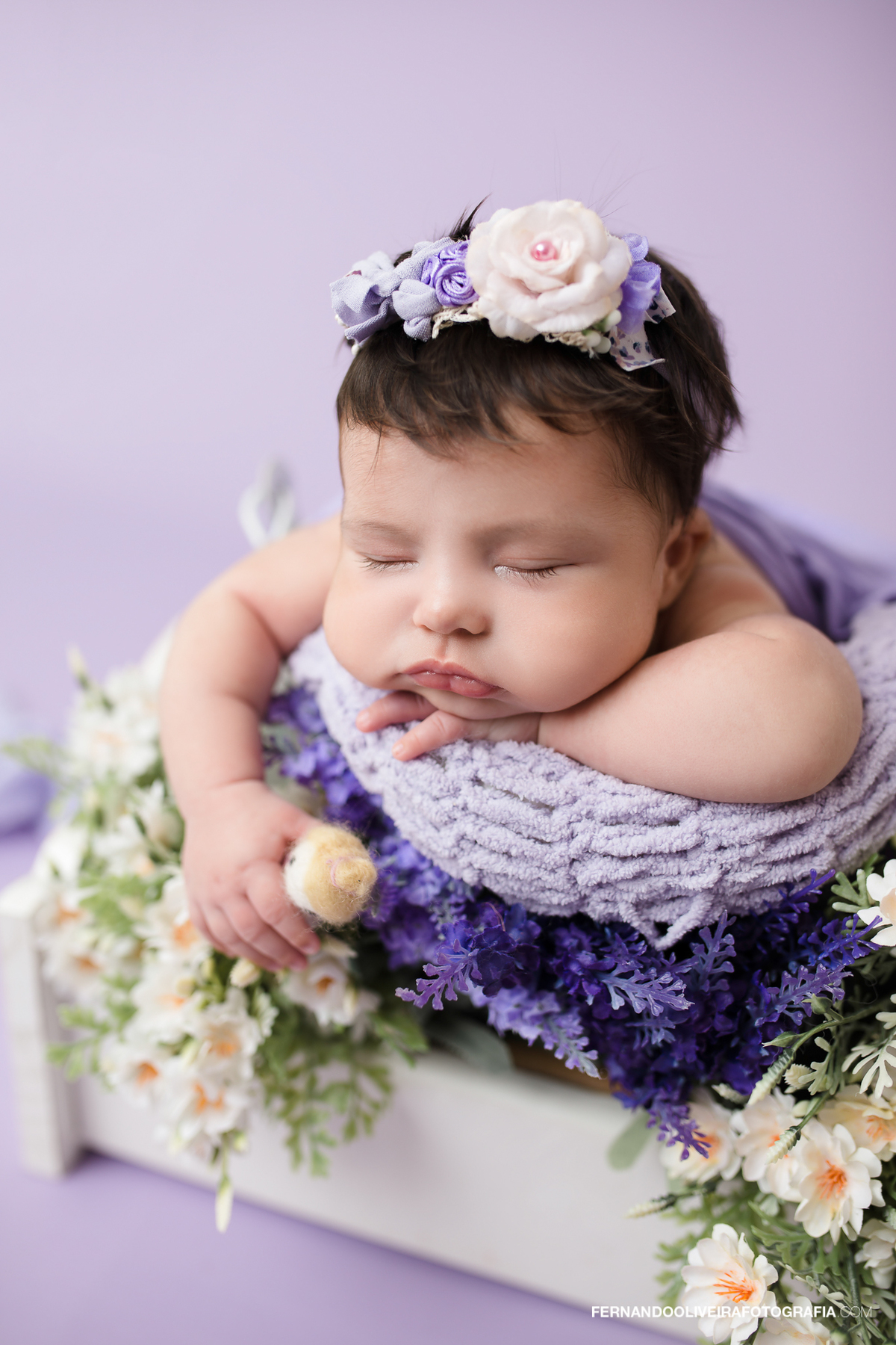 Ensaio newborn São Paulo
Fotografia newborn zona sul SP
Bebê recém-nascido fotos
Ensaio newborn estúdio São Paulo
Newborn Brooklin Moema Campo Belo
Fotos bebê Maria Julia newborn
Fotógrafo newborn zona sul
Ensaio recém-nascido SP