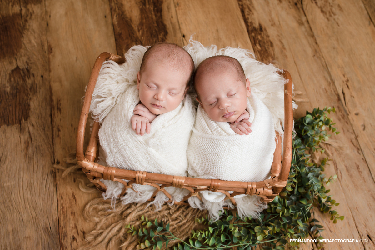 ensaio newborn bebes gemeos são paulo brooklin moema campo belo zona sul fotografo estúdio infantil maternidade
