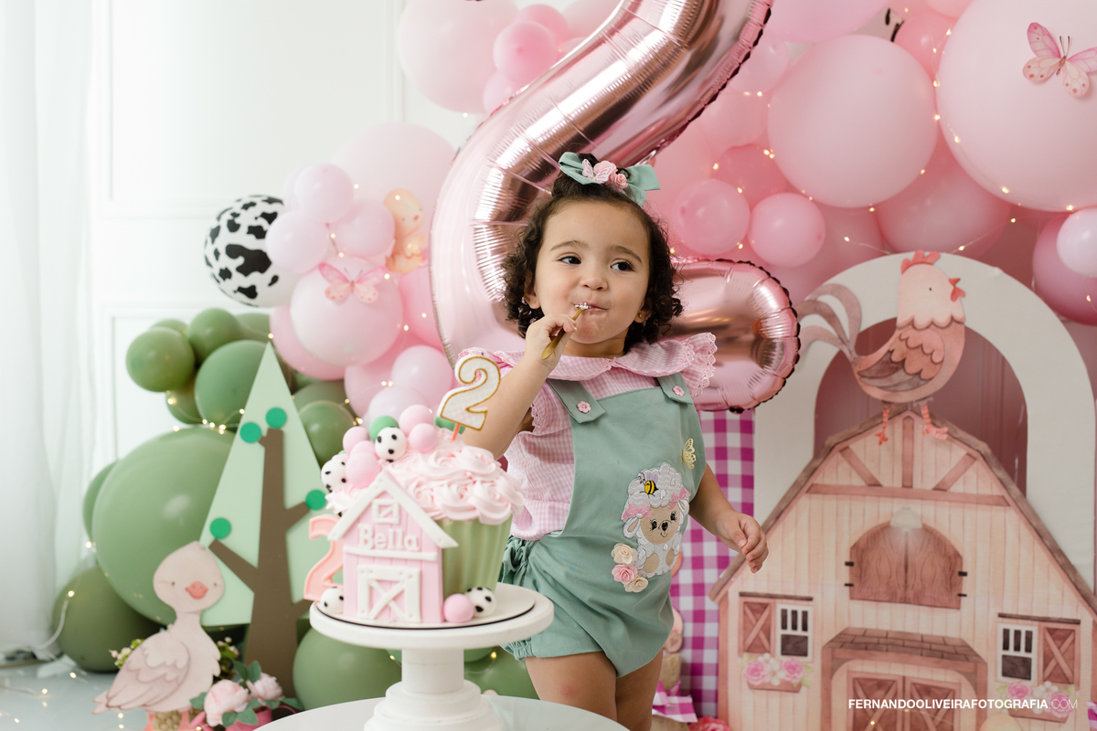 ensaio smash the cake estudio sp são paulo fazendinha decoração aniversario 2 anos infantil