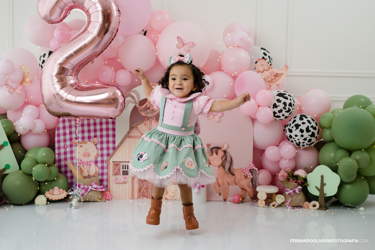 ensaio smash the cake estudio sp são paulo fazendinha decoração aniversario 2 anos infantil