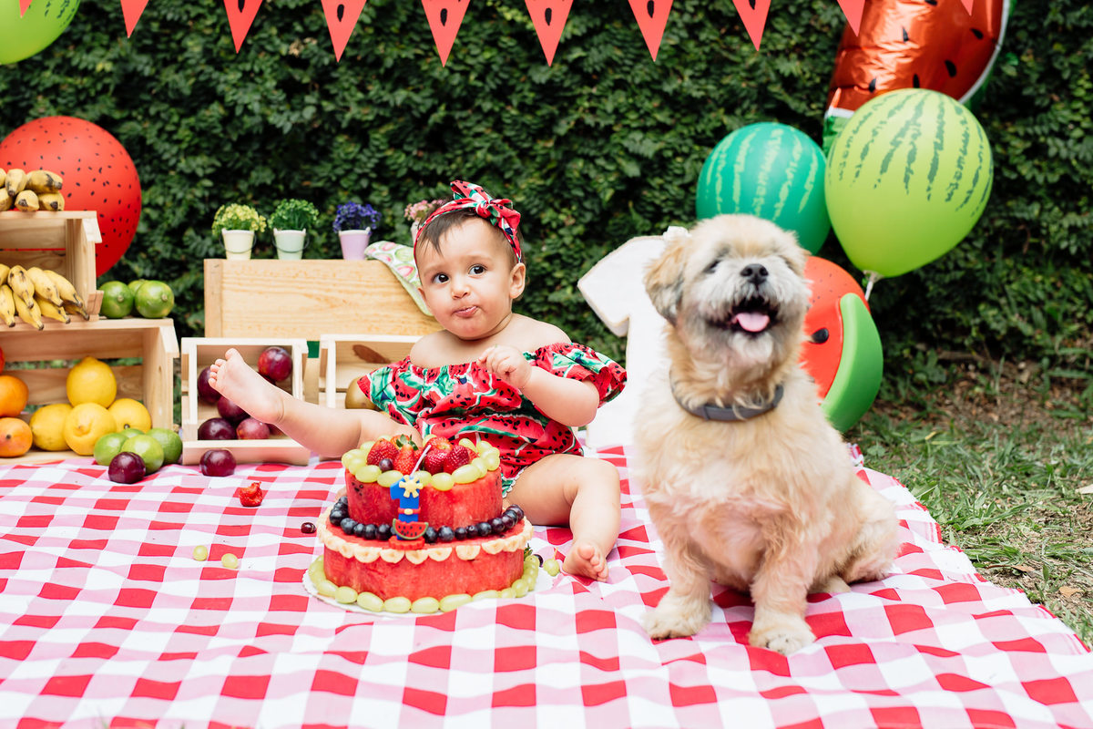 acompanhamento bebe - Smash the fruit sp itapecerica - frutas feira aniversario 1 ano