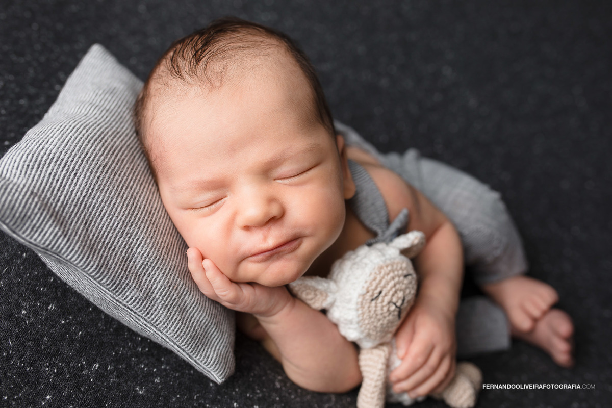 ensaio newborn em domicio residencia book bebe ensaio bebe