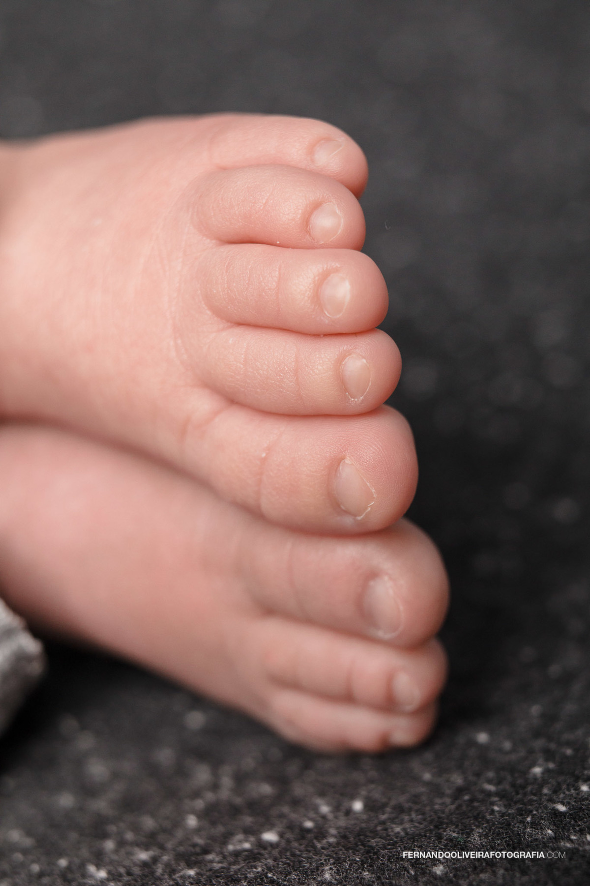 ensaio newborn em domicio residencia book bebe ensaio bebe pezinho