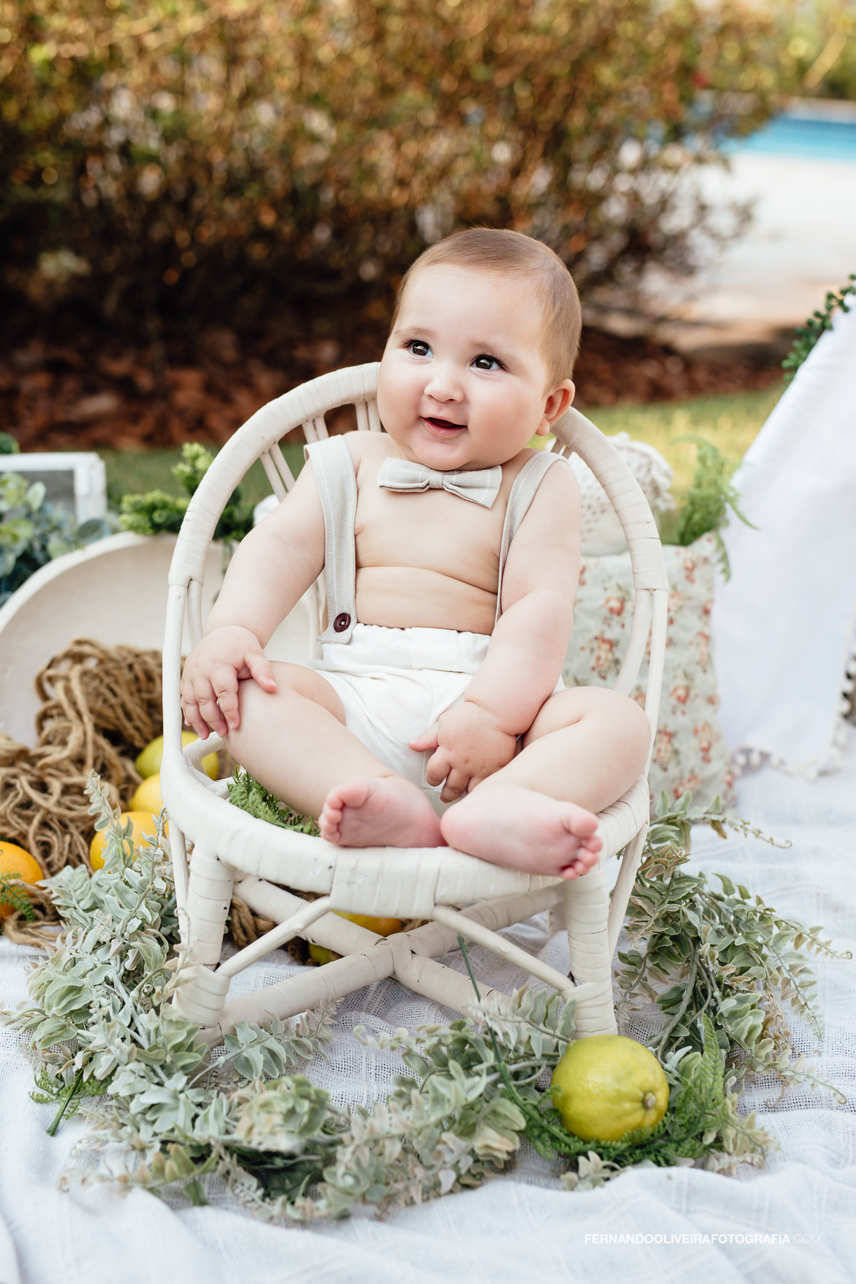 Ensaio de acompanhamento bebe 6 meses