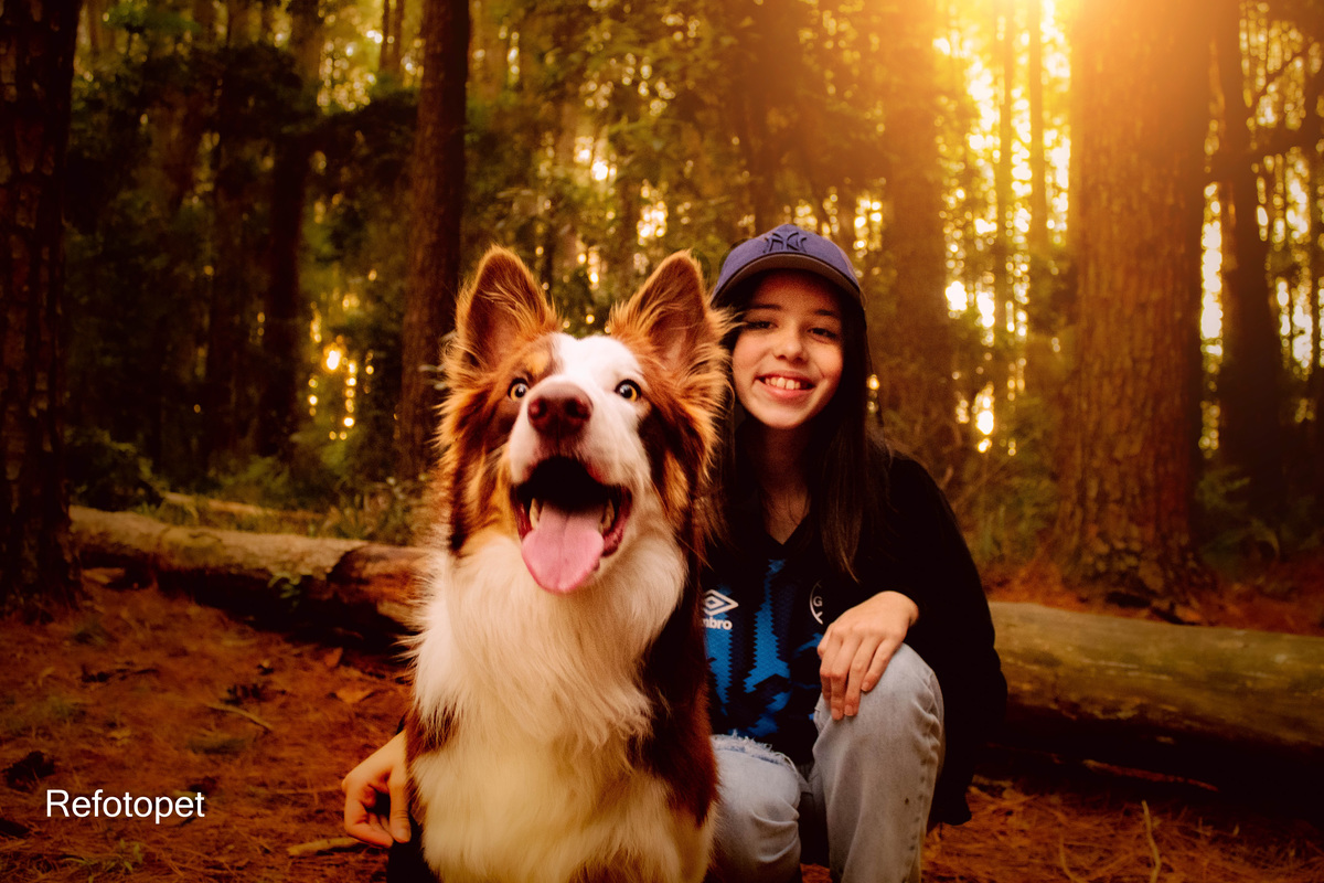 menina e cachorro
