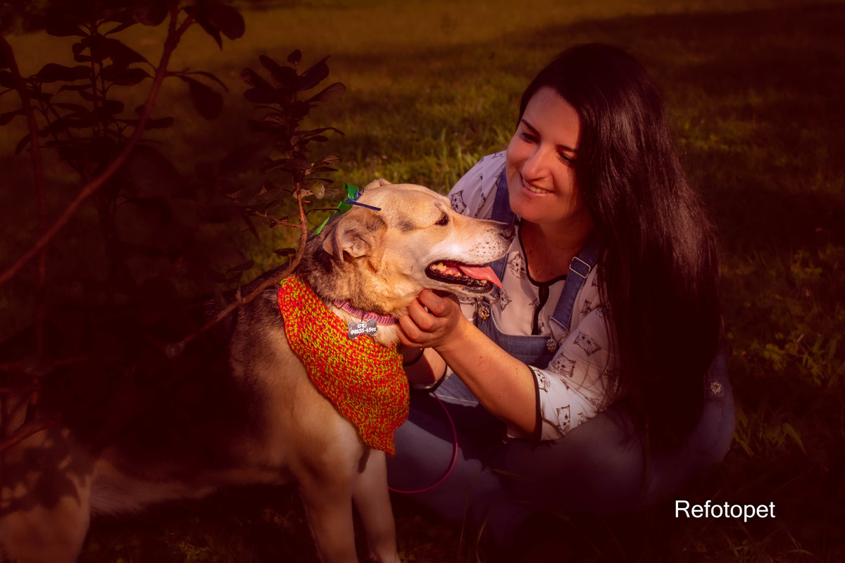 cão e humana
