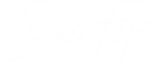 Logotipo de Luciano Senise