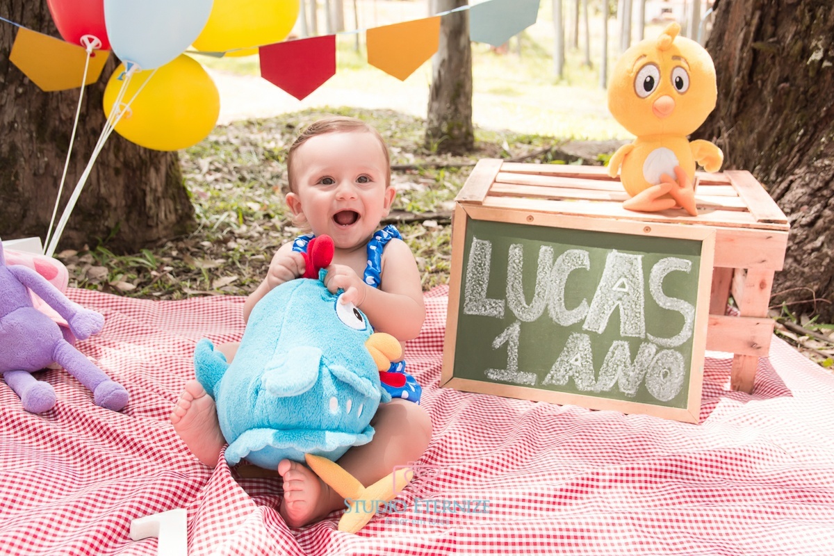 Lucas - 12 meses - smash the cake - termopolis