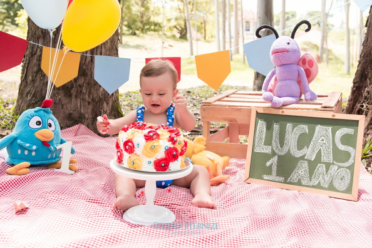 Lucas - 12 meses - smash the cake - termopolis