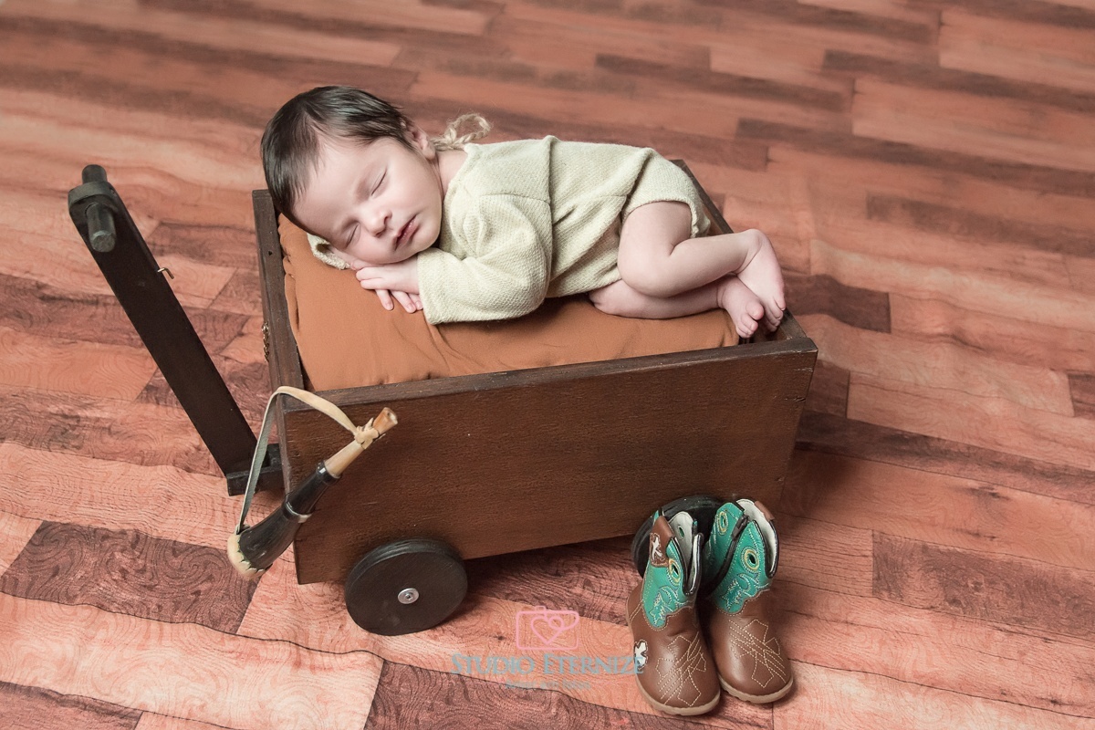 JOSÉ VITOR - 10 DIAS - NEWBORN-  POSE  NO CARRINHO - STUDIO ETERNIZE - POÇOS DE CALDAS