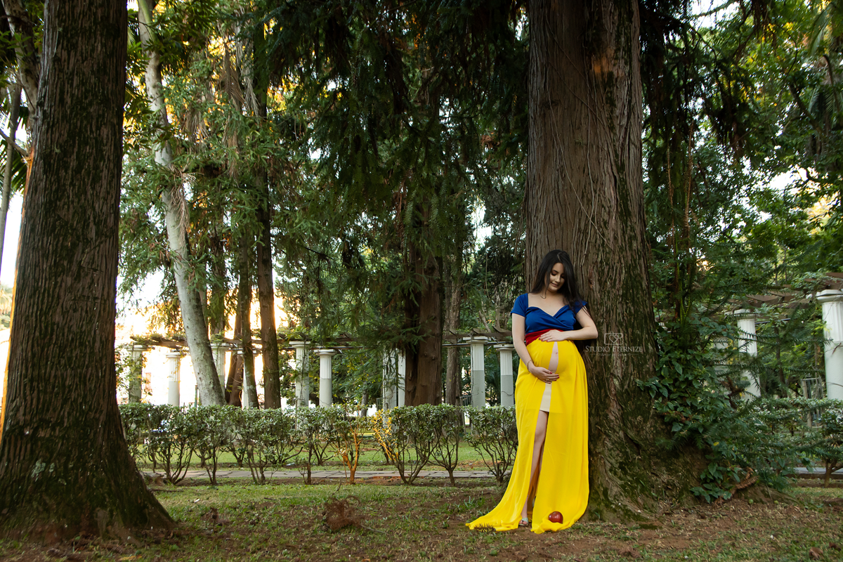 GESTANTE - POÇOS DE CALDAS - MG - PRINCESA - BRANCA DE NEVE