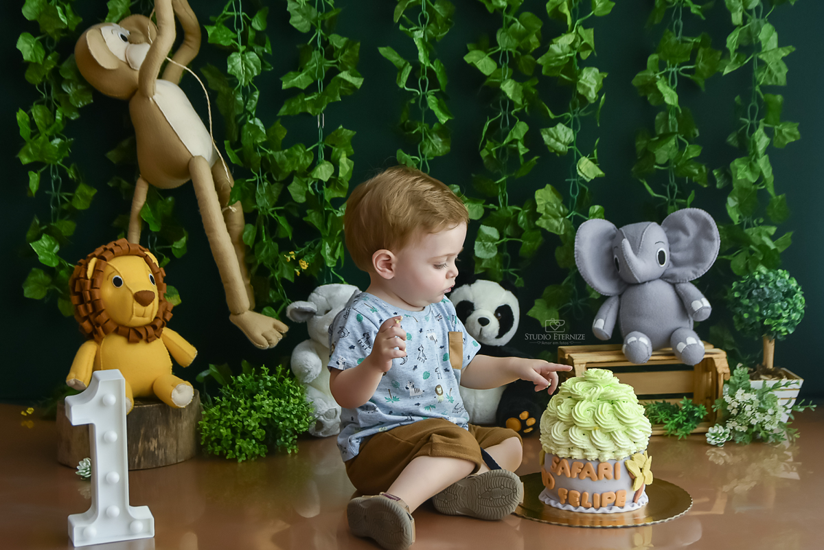 smash the cake - menino - safari - acompanhamento 