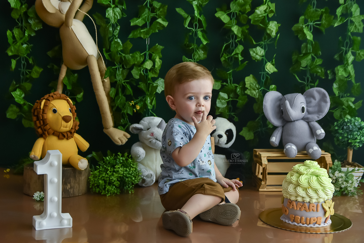 smash the cake - menino - safari - acompanhamento 