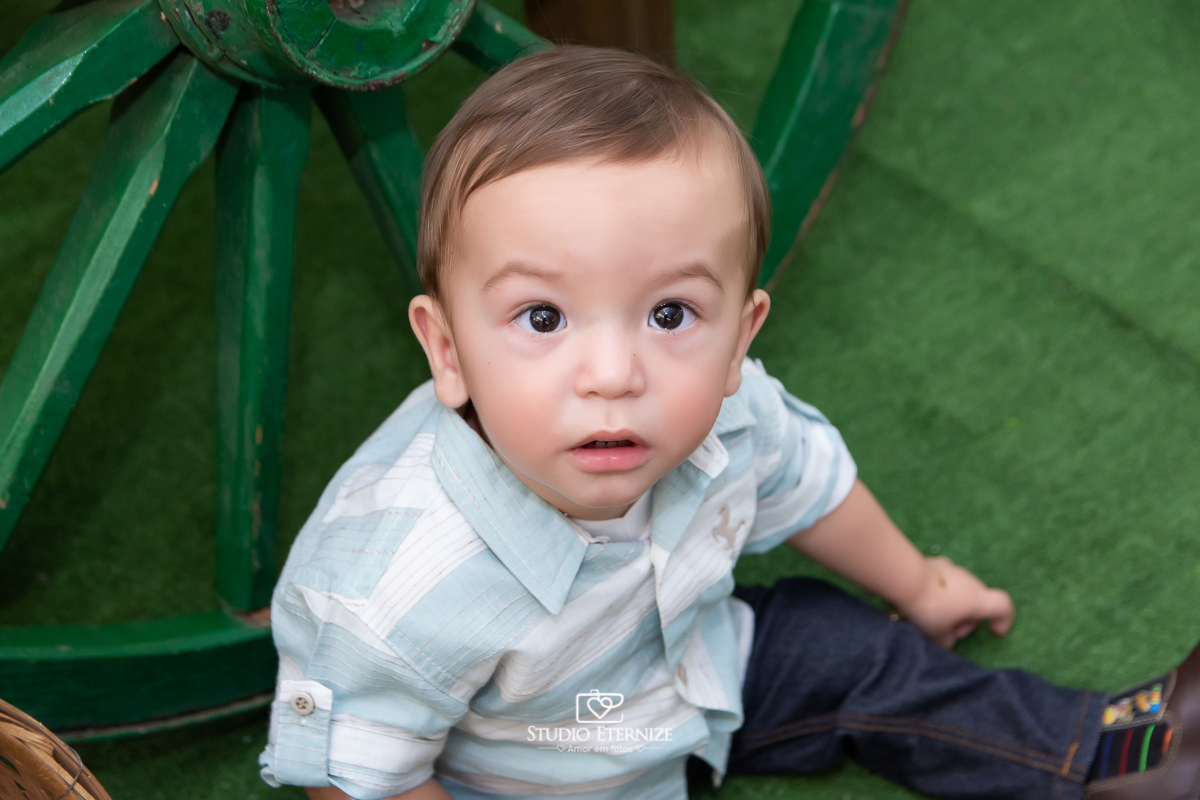 Fotografia de aniversario infantil no tema fazendinha realizado em Poços de Caldas. Detalhe do aniversariante posando para uma foto na frente da mesa do bolo.
