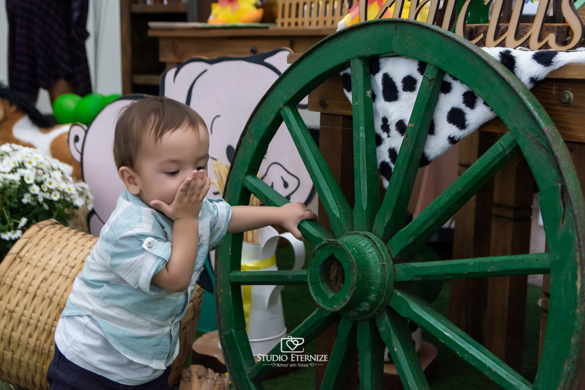 Fotografia de aniversario infantil no tema fazendinha realizado em Poços de Caldas. Aniversariante brincando com uma roda de charrete e mandando beijo.