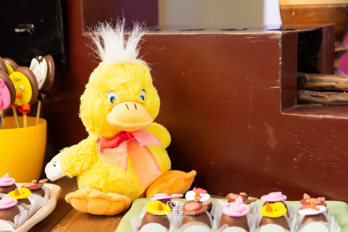 Fotografia de aniversario infantil no tema fazendinha. Detalhe da decoração da mesa do bolo com um pintinho de pelúcia e docinhos personalizado. 