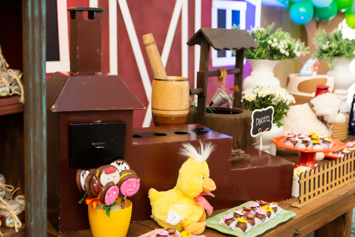 Fotografia de aniversario infantil no tema fazendinha. Detalhe da decoração da mesa do bolo com um mini fogão a lenha.