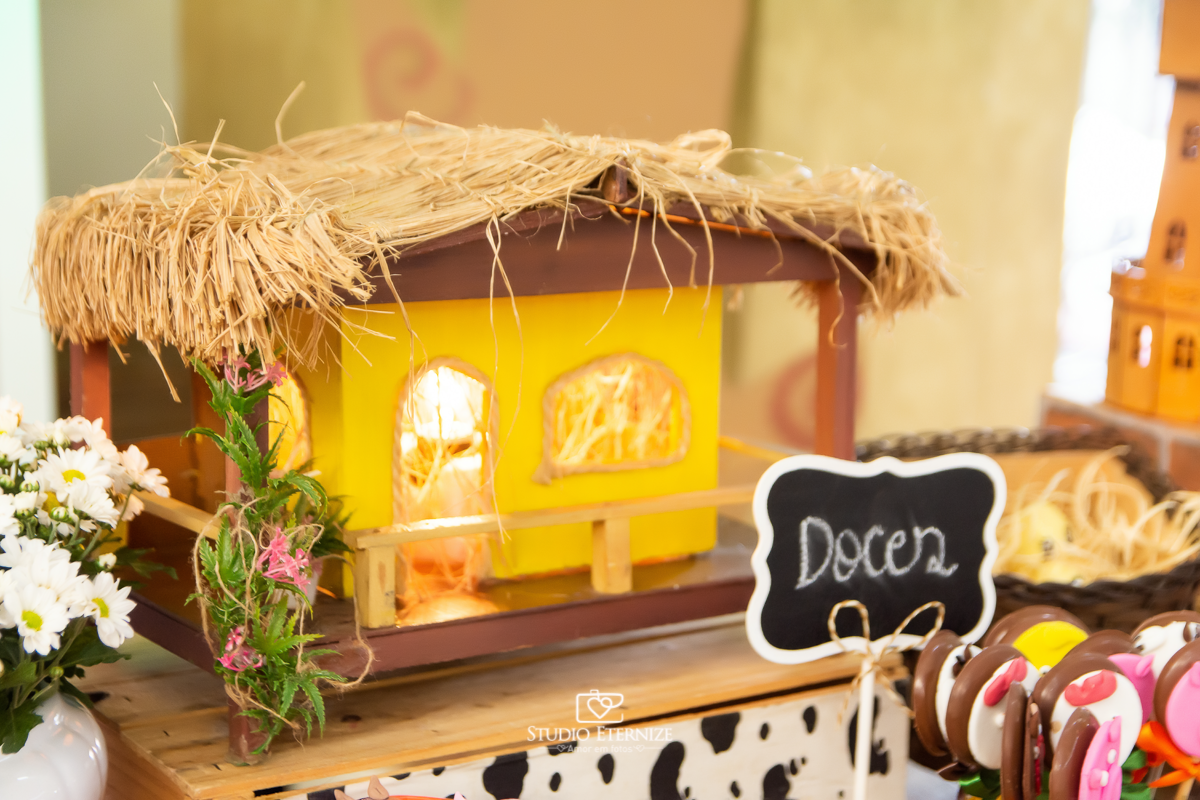 Fotografia de aniversario infantil no tema fazendinha. Detalhe da decoração da mesa do bolo de uma casinha de palha.