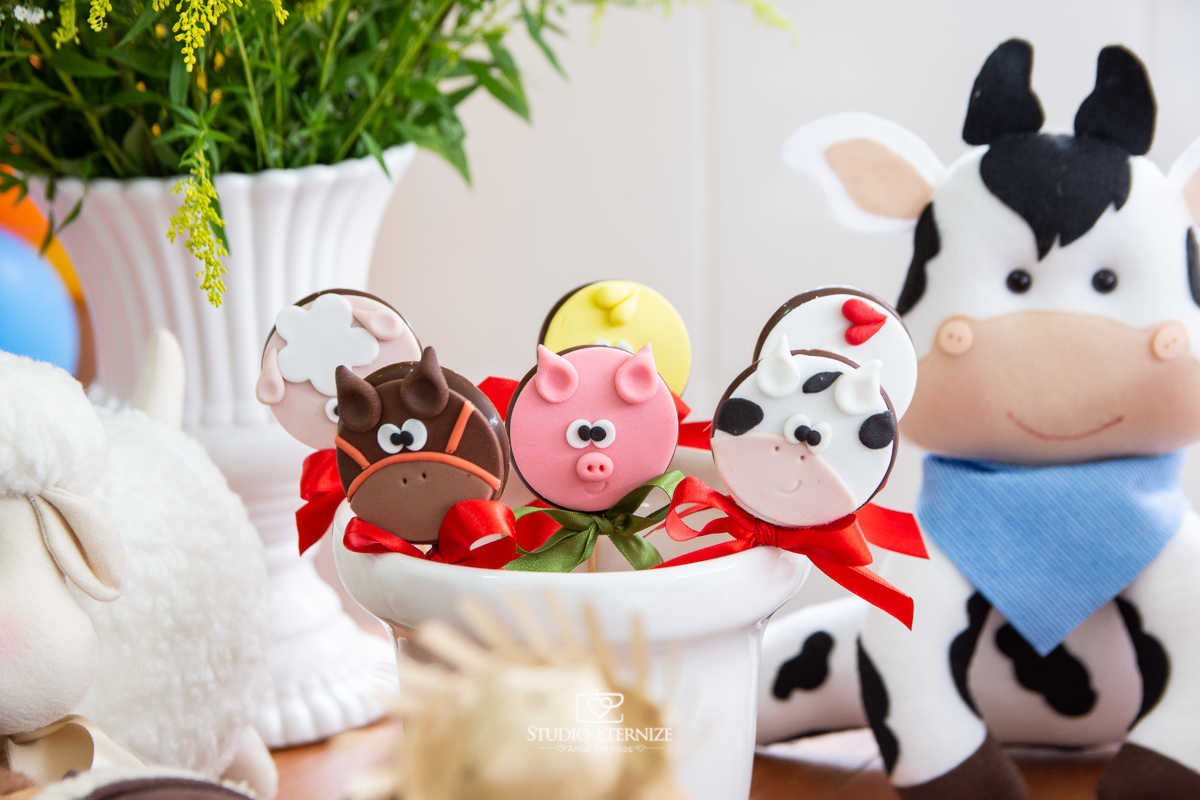 Fotografia de festa infantil de 2 anos registrada pelo Studio Eternize no tema da fazendinha em Poços de Caldas - MG. Detalhe da decoração com pirulitos de chocolate no tema fazendinha.