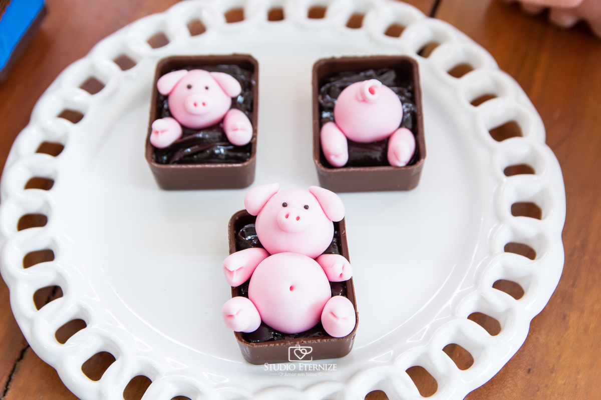 Fotografia de festa infantil de 2 anos registrada pelo Studio Eternize no tema da fazendinha em Poços de Caldas - MG. Detalhe da decoração com doces de chocolate no tema fazendinha com porquinhos.