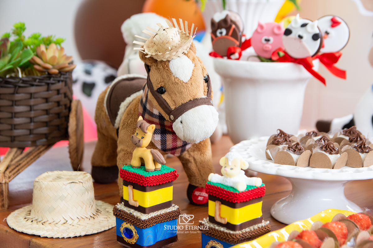 Fotografia de festa infantil de 2 anos registrada pelo Studio Eternize no tema da fazendinha em Poços de Caldas - MG. Detalhe da decoração com doces personalizados no tema fazendinha.