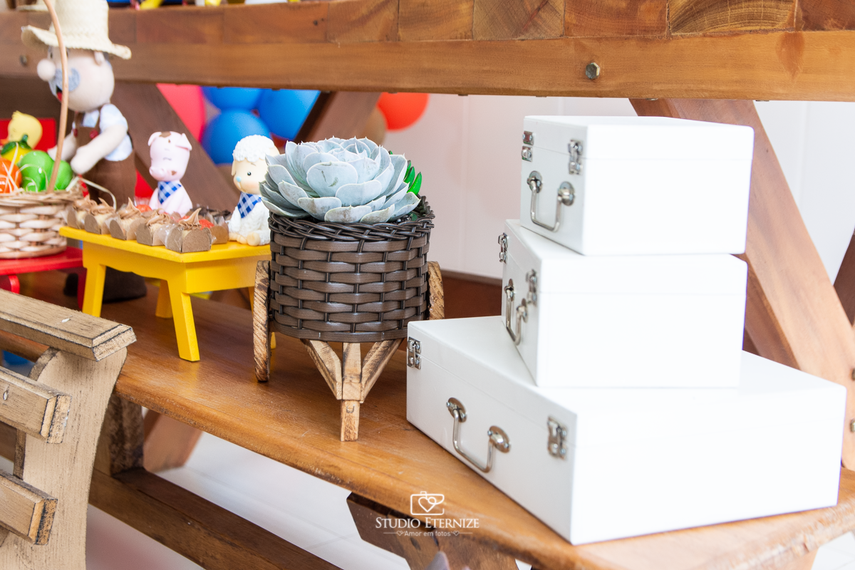 Fotografia de festa infantil de 2 anos registrada pelo Studio Eternize no tema da fazendinha em Poços de Caldas - MG. Detalhe da decoração no tema fazendinha.
