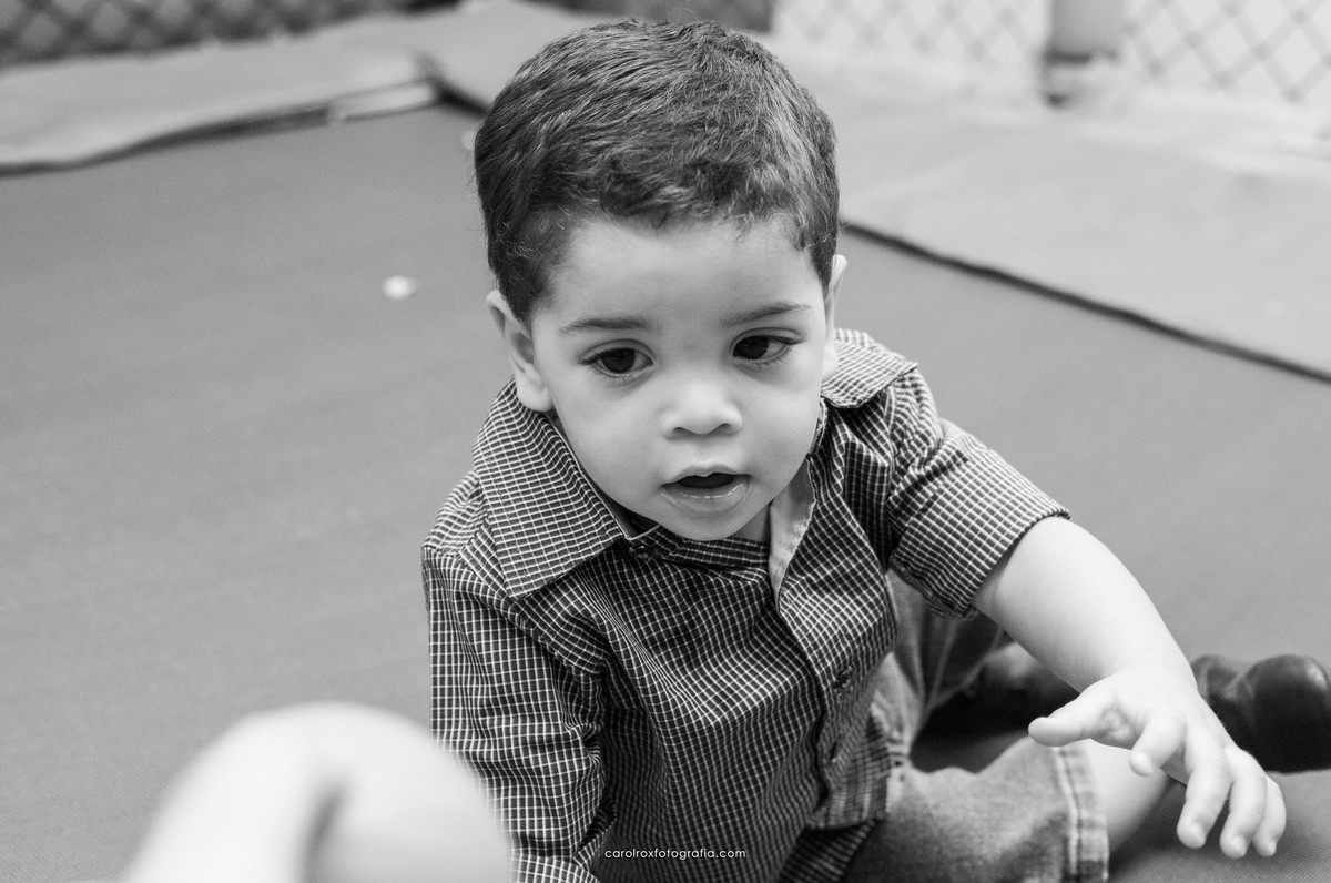 fotografia, infantil, aniversario, 1 ano, lucas, alvin e os esquilos, pippop, piscina de bolinhas, cores, vermelho, azul, amarelo, crianças, parabens, bolo, doces, decoracao, maceio, alagoas, brasil