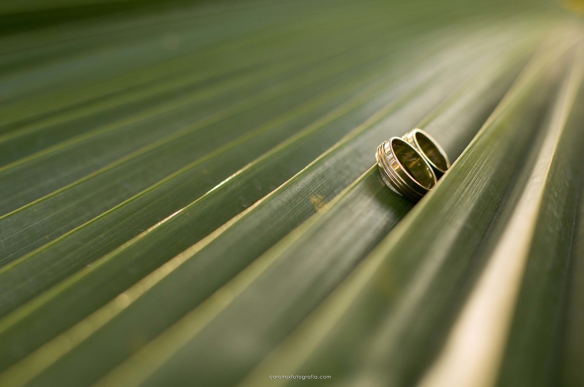 alianças-casamento-al-maceio-arcos-eventos-natalia-e-irineu-fotografa-de-casamento-carol-rox