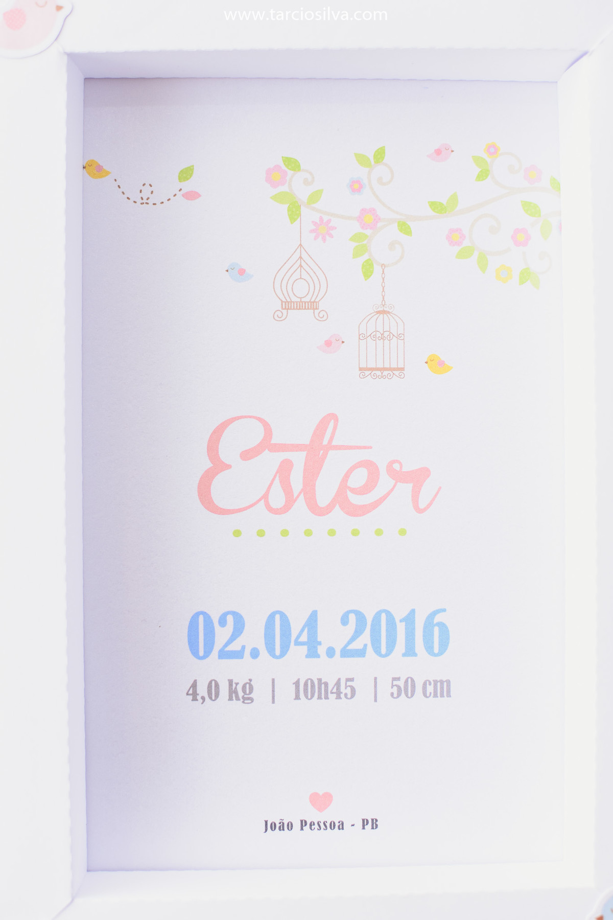 Aniversário Ester na Casa de Vovó em João Pessoa PB - Por Tárcio Silva