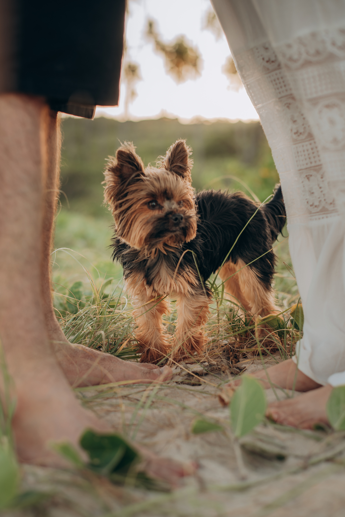 FOTOGRAFO EM JOAO PESSOA - FOTOGRAFIA DE CASAL ; FOTOGRAFO TARCIO VIANA ; ENSAIO PRE WEDDING ; ENSAIO DE CASAL ; FOTOS DE CASAL ; FOTOGRAFIA ; NATUREZA - RUIVO - CABELO - CASAL - NAMORADOS - ENSAIO DE NAMORADOS