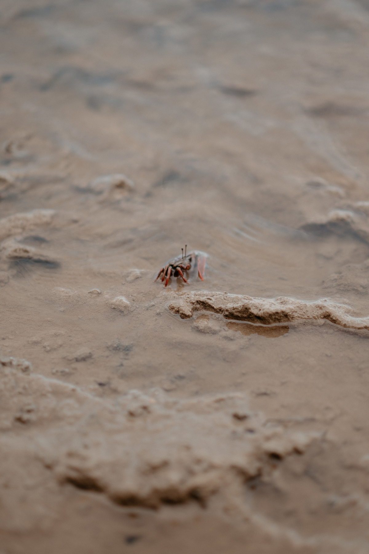 FOTOGRAFO EM JOÀO PESSOA - PRAIA DE GRAMAME - FOTOS CASAL - FOTOS DE CASAMENTO - FOTOGRAFIA ATEMPORAL - FOTOS TURISTAS - FOTOS CASAMENTO - FOTOGRAFANDO CASAIS - MELHOR FOTOGRAFO DE JOÃO PESSOA - FOTOGRAFO PARAIBA