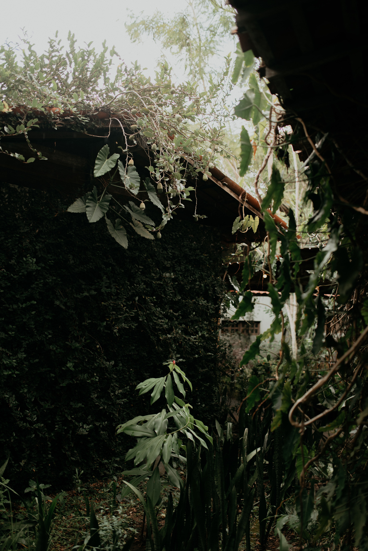 Casamento Nublado - Granja Vitoria - Casamentos em João Pessoa - Casamento no campo - Fotografos de Casamentos na paraiba - fotografo casamento nivel brasil - Destination Wedding - Melhor fotografo de João Pessoa e Santa Rita - PB - Noivas