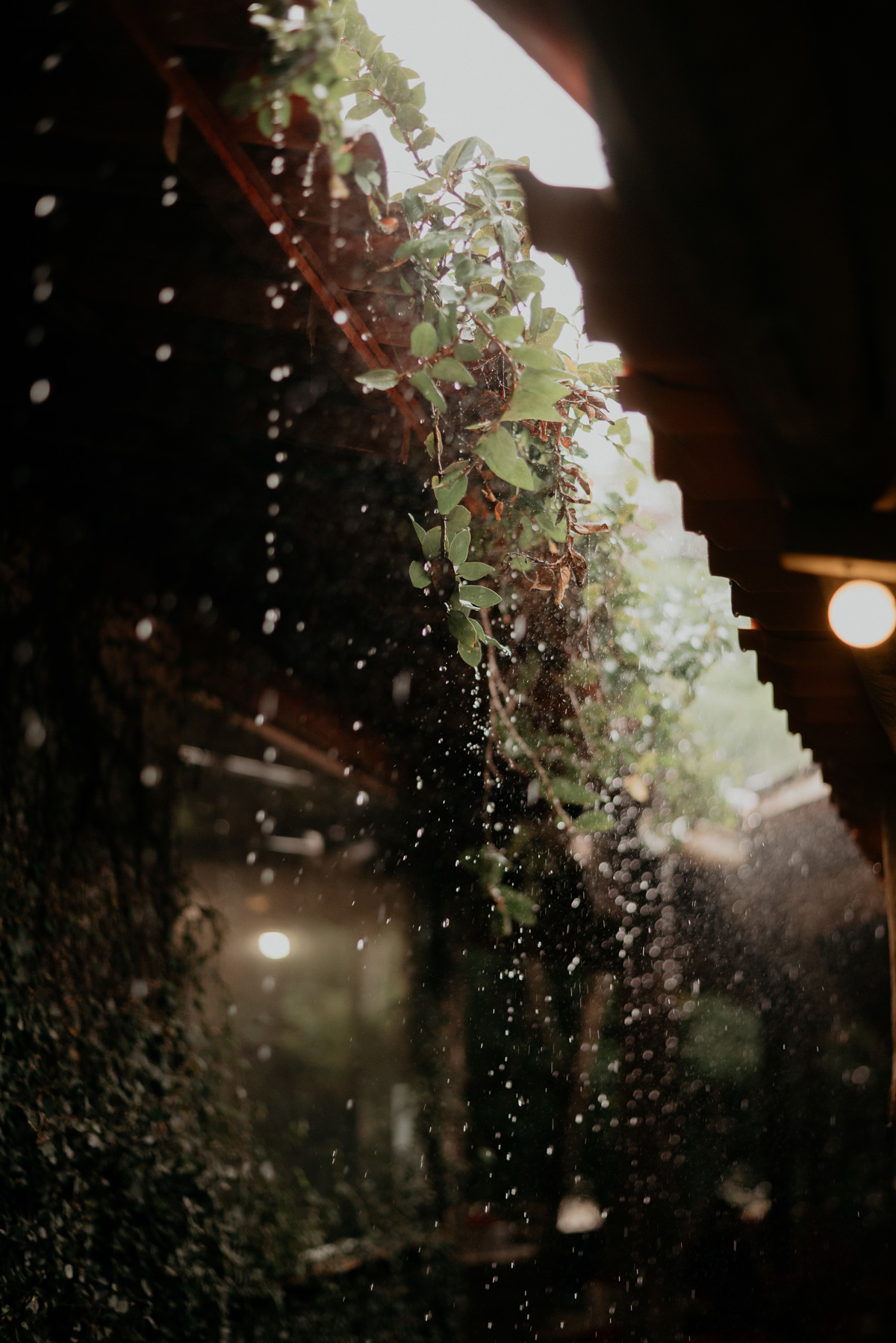 Casamento Nublado - Granja Vitoria - Casamentos em João Pessoa - Casamento no campo - Fotografos de Casamentos na paraiba - fotografo casamento nivel brasil - Destination Wedding - Melhor fotografo de João Pessoa e Santa Rita - PB - Noivas